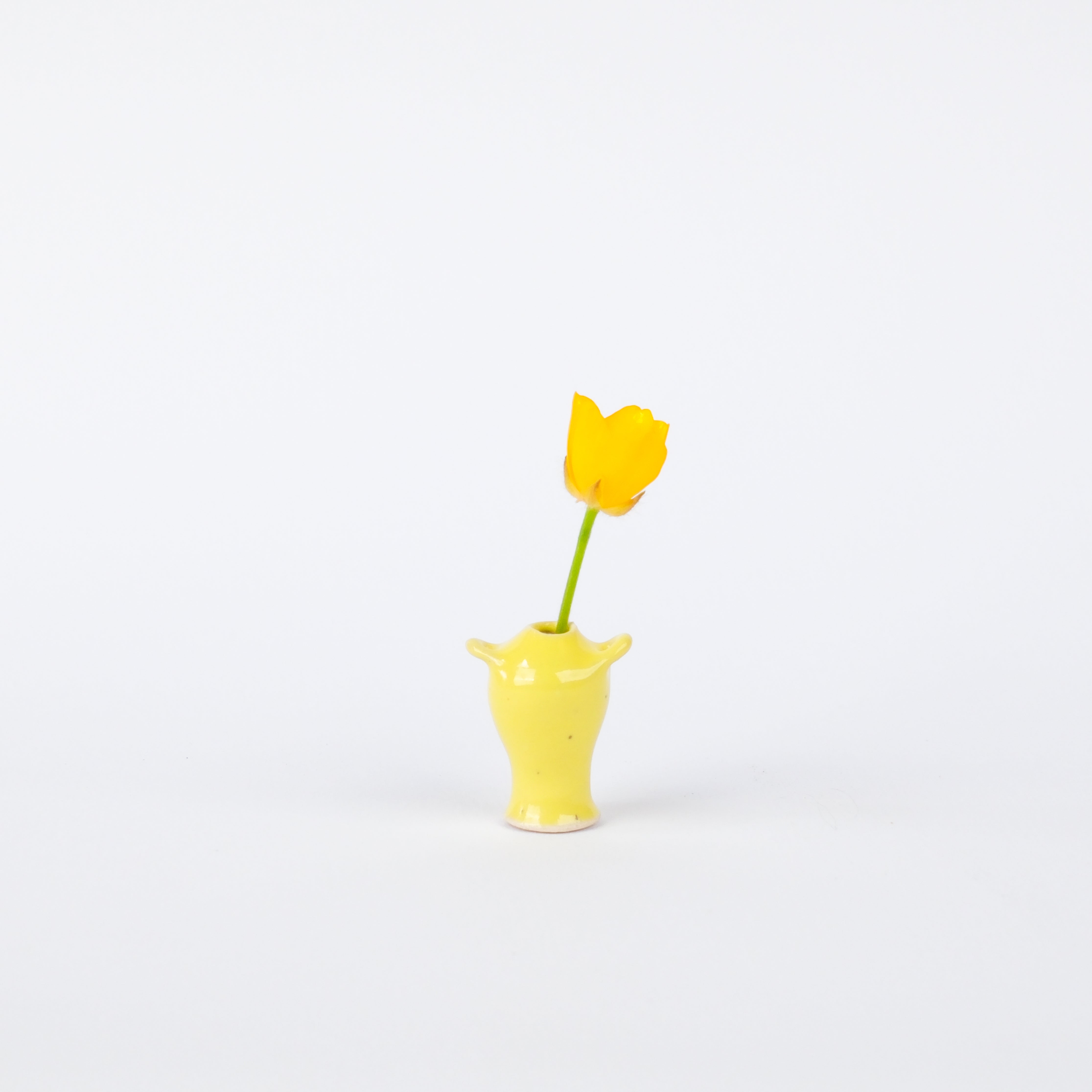 Yellow Jug 24mm