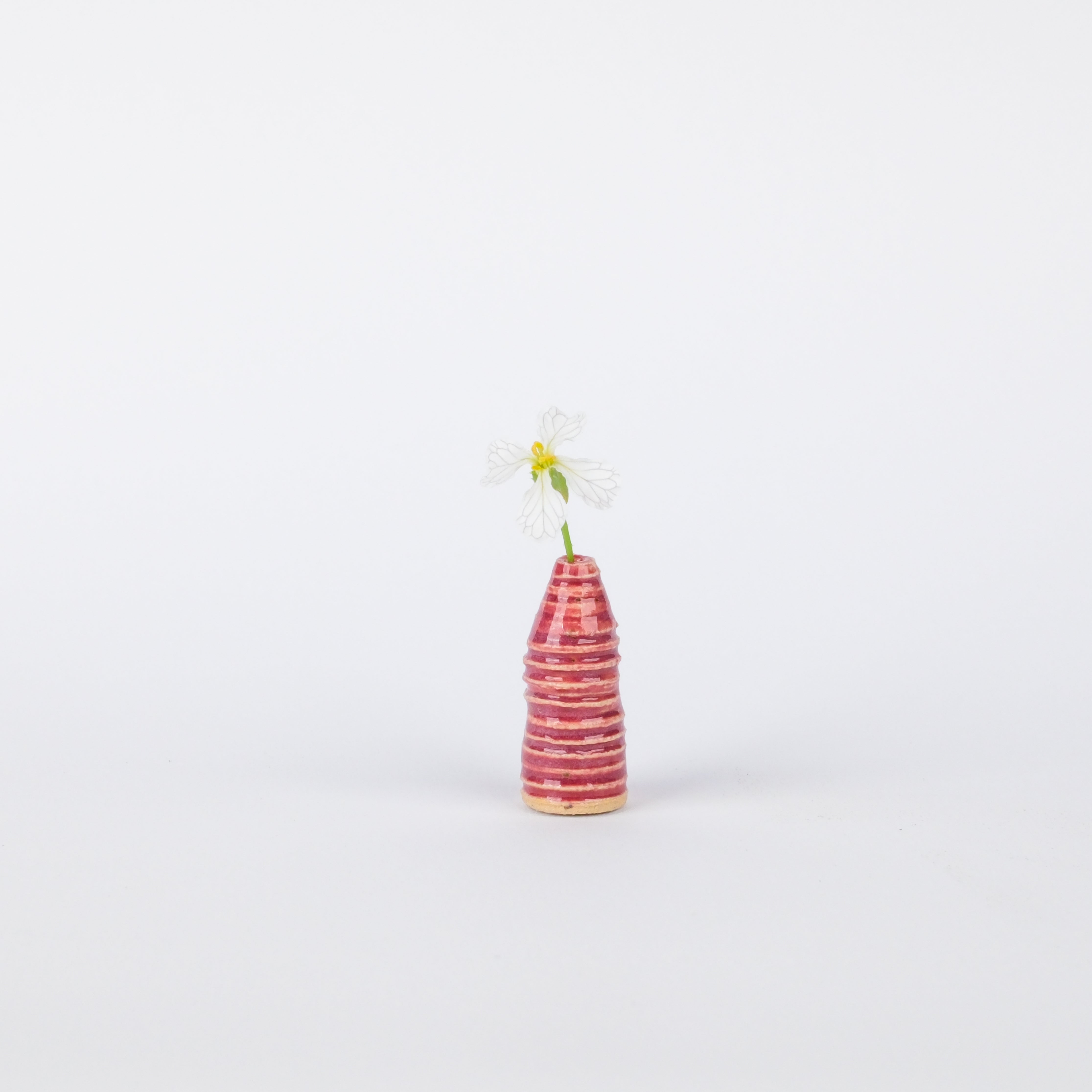 Handmade 32mm scarlet ribbed stoneware vase with a glossy finish, holding a small white flower on a white background.